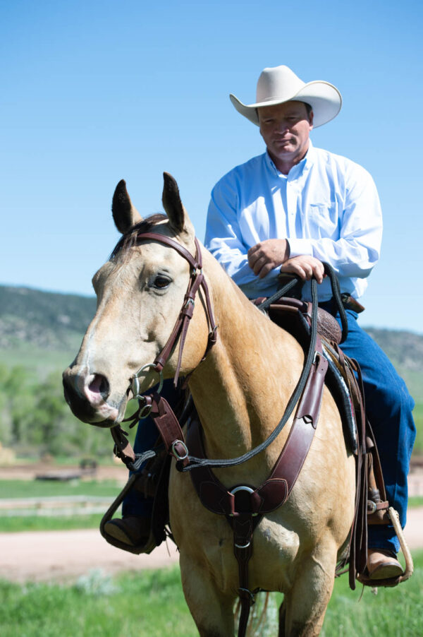 Looped Reins - Image 4
