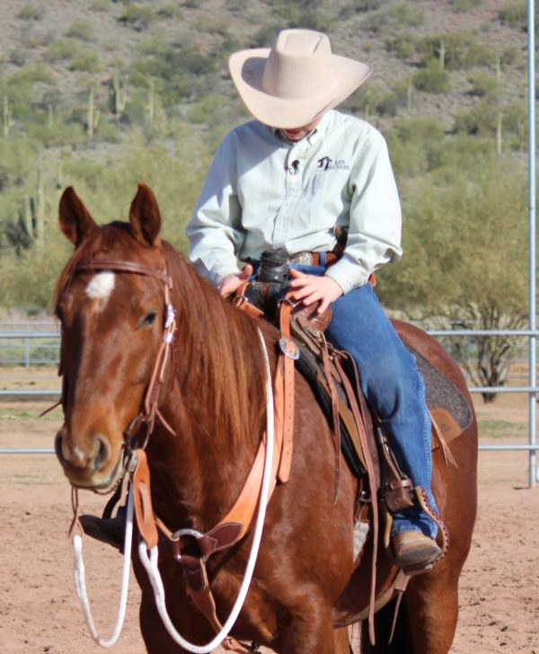 Looped Reins