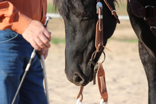 Slobber Straps