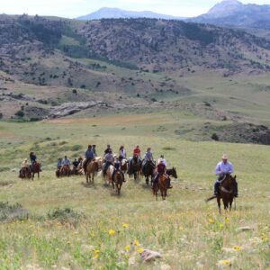 Trail Rider University July 7th-11th, 2025