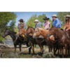 Weaver Leather Working Tack Browband Headstall, Rope Edge Hardware, Golden Chestnut - Image 5