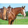 Rambler Sliding Ear Headstall, Russet - Image 2