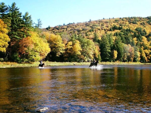 Cooks Forest Trail Clinic & Camping, Clarion PA | September 22nd-26th, 2025