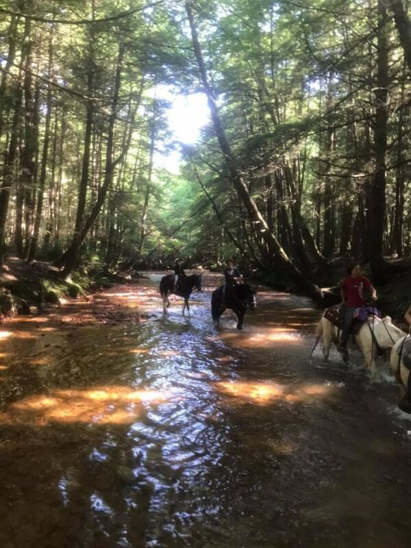 Cooks Forest Trail Clinic & Camping, Clarion PA | September 22nd-26th, 2025 - Image 2
