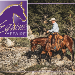 Equine Affaire, MA - November 6th-9th, 2025