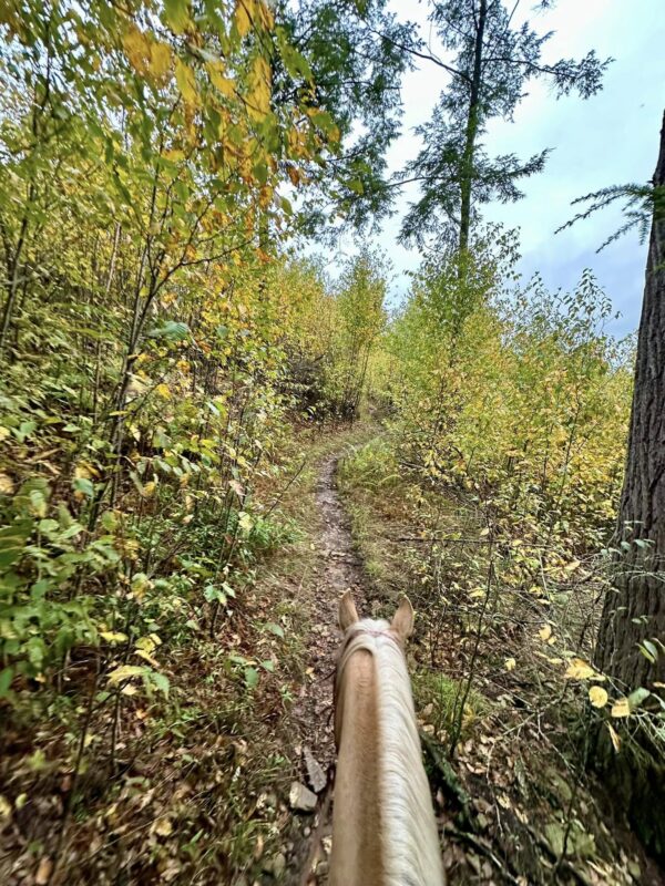 Cooks Forest Trail Clinic & Camping, Clarion PA | September 22nd-26th, 2025 - Image 11