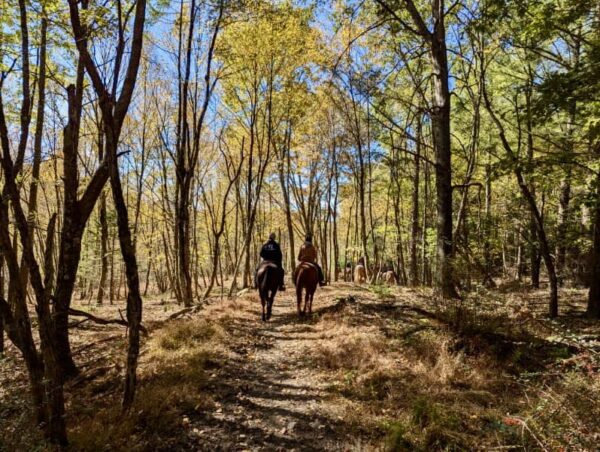 Cooks Forest Trail Clinic & Camping, Clarion PA | September 22nd-26th, 2025 - Image 12