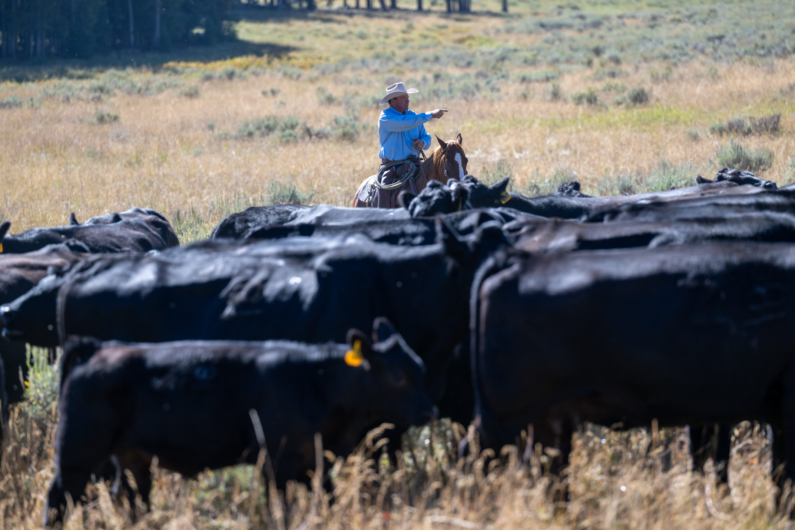 TX Ranch Cow Camp Vacation July 20th-24th, 2026 - Image 13