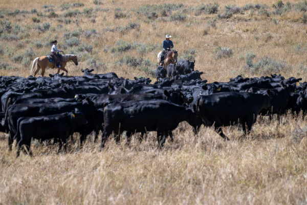 TX Ranch Cow Camp Vacation July 20th-24th, 2026 - Image 12