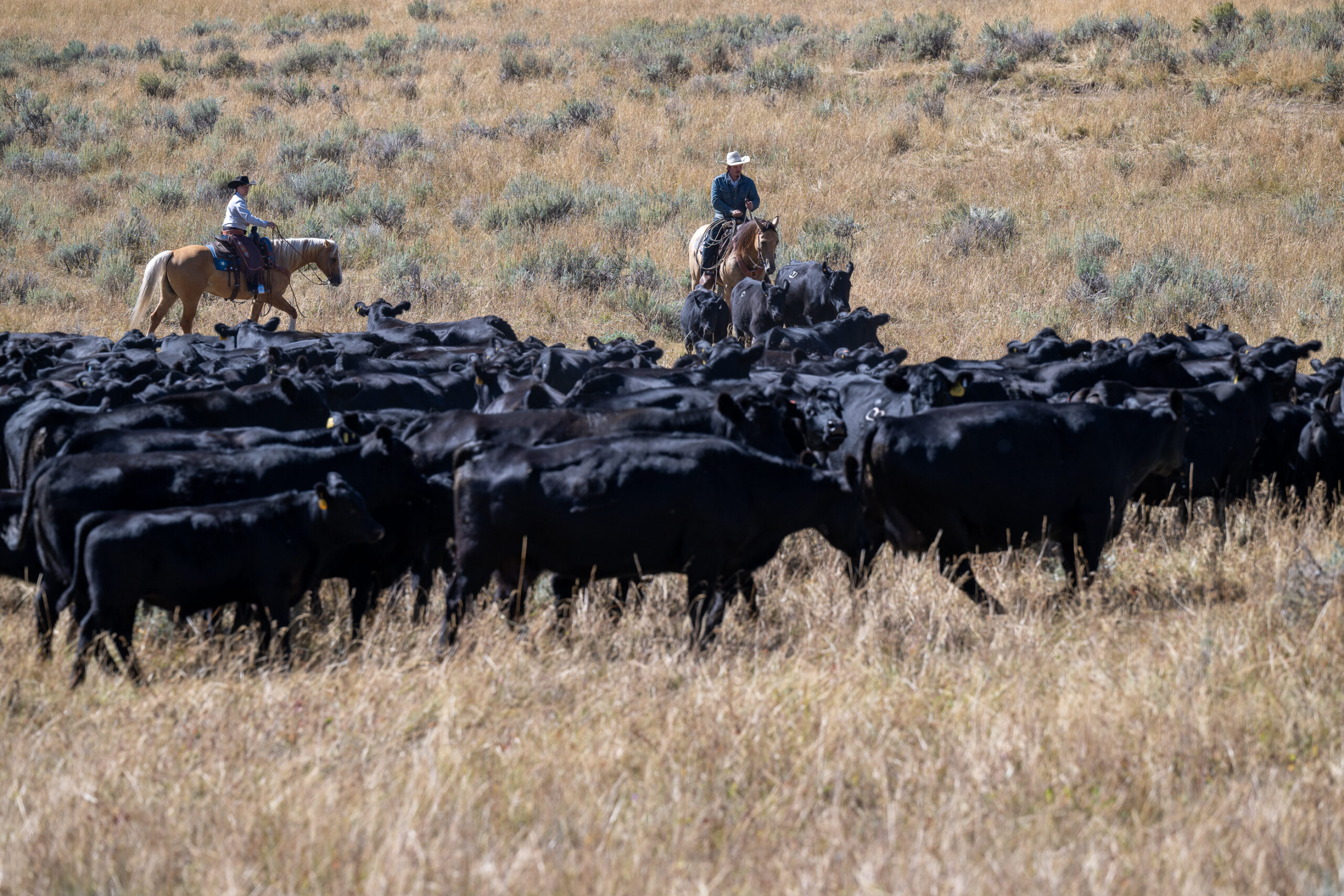 TX Ranch Cow Camp Vacation July 20th-24th, 2026 - Image 12