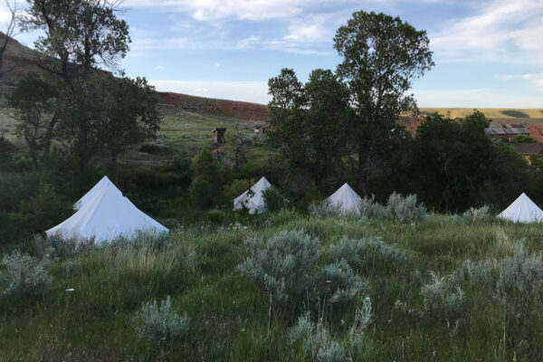 A Week in Cow Camp with Ken McNabb | August 10th-15th, 2025 Pryor Mountains, WY - Image 4