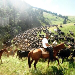 TX Ranch Cow Camp Vacation August 3rd-7th, 2026